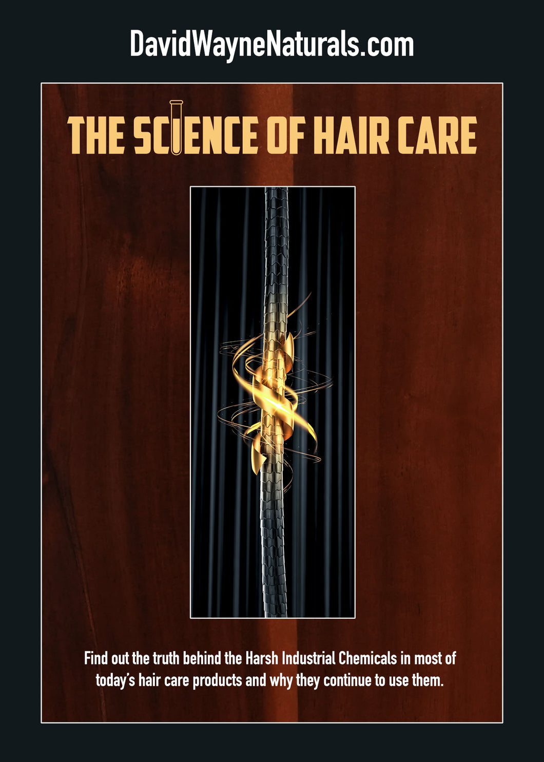 The Science of Hair Care (PDF book)